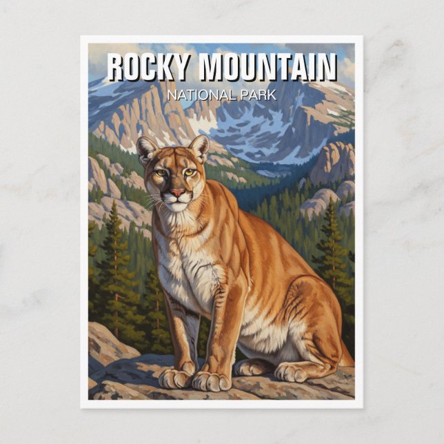 Cougar in Rocky Mountain National Park Travel Postkarte (Vorderseite)