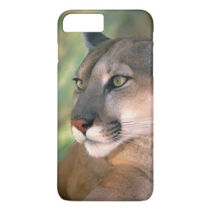 Cougar, Kalifornien Case-Mate iPhone Hülle
