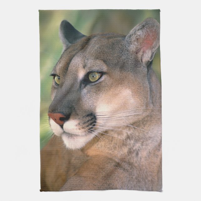 Cougar, Kalifornien Handtuch (Vertikal)