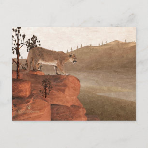 Cougar - Konzentration Postkarte
