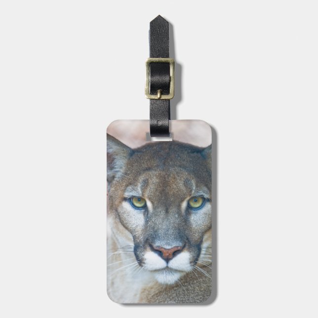 Cougar, Löwe, Panther Florida, Puma 2 Gepäckanhänger (Vorderseite vertikal)