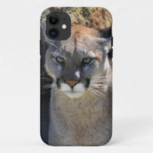 Cougar Mountain Lion Big Cat Art Case