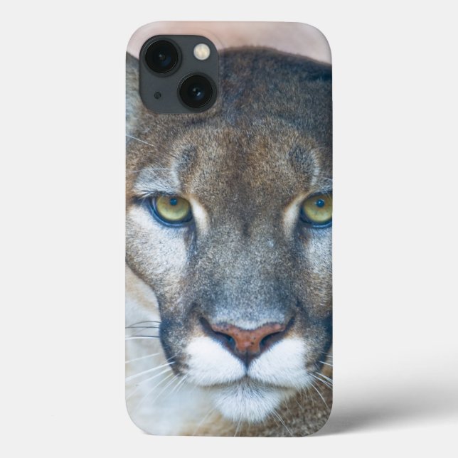 Cougar, mountain lion, Florida panther, Puma 2 Case-Mate iPhone Hülle (Rückseite)