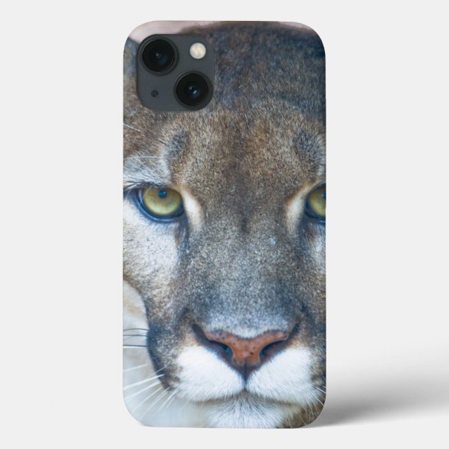 Cougar, mountain lion, Florida panther, Puma 2 Case-Mate iPhone Hülle (Rückseite)