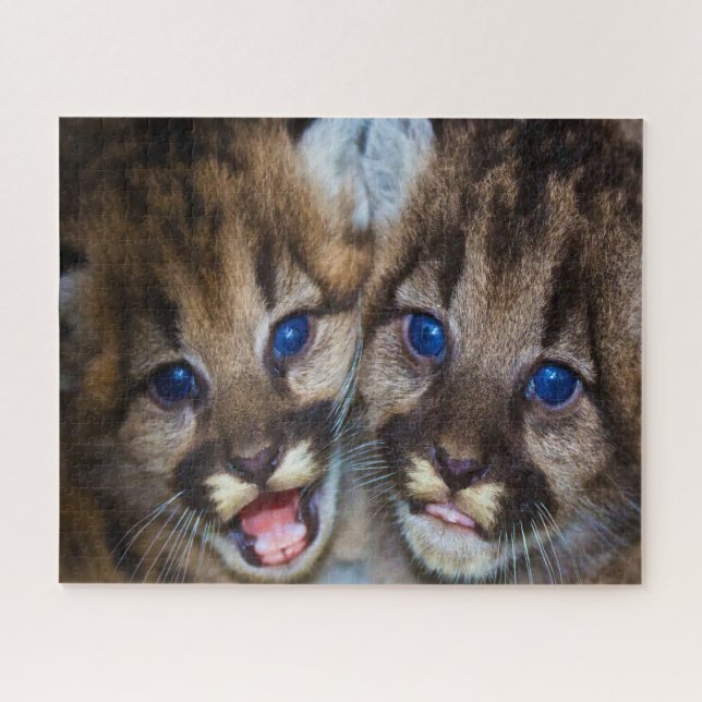 Cougar Mountain Lion. Puzzle (Horizontal)