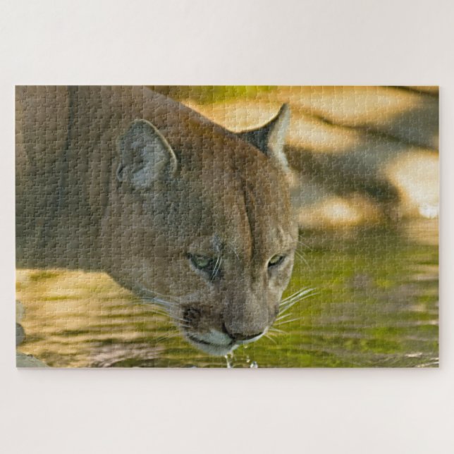 Cougar Mountain Lion. Puzzle (Horizontal)