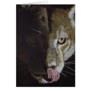 Cougar Night