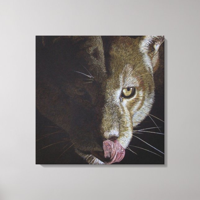 Cougar Night Leinwanddruck (Vorderseite)