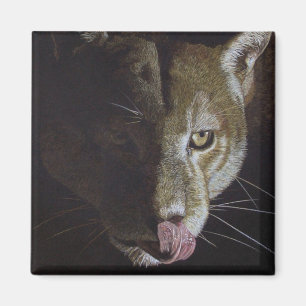 Cougar Night Magnet