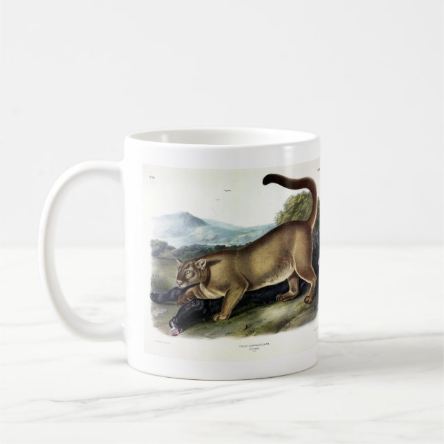 Cougar oder Puma, Panther, Mountain Lion, Catamoun Kaffeetasse (Links)