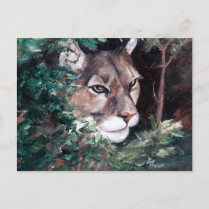 Cougar Postcard ansehen Postkarte