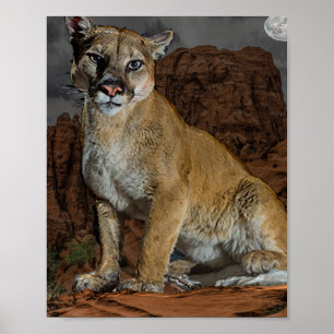 Cougar Poster