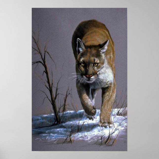 Cougar Poster (Vorne)