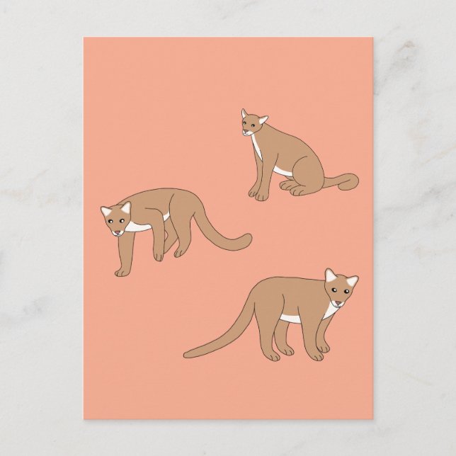 Cougar Postkarte (Vorderseite)