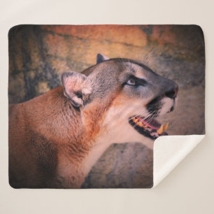 Cougar Profile  Sherpadecke