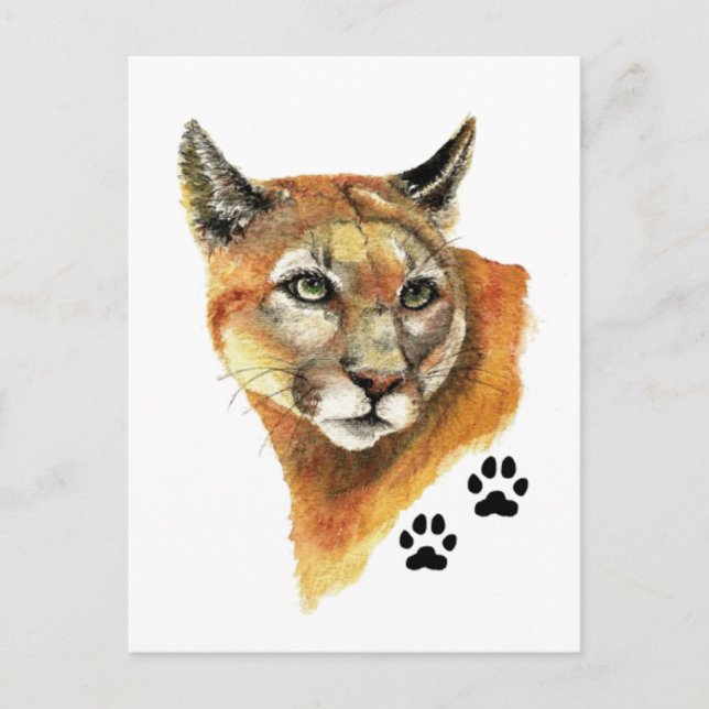 Cougar, Puma, Mountain Lion Animal Tracks Postkarte (Vorderseite)