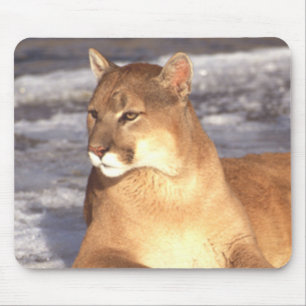 Cougar Rest Mousepad