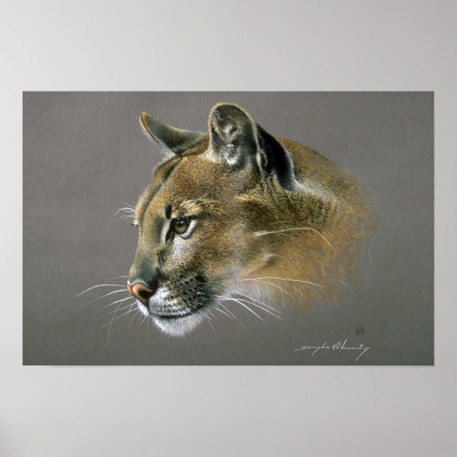Cougar-Studie Poster (Vorne)
