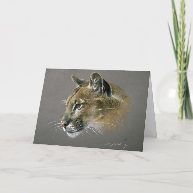 Cougar study karte (Vorderseite)