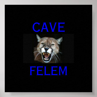 COUGAR Vorsicht vor der Katze - auf Latein. - Poster