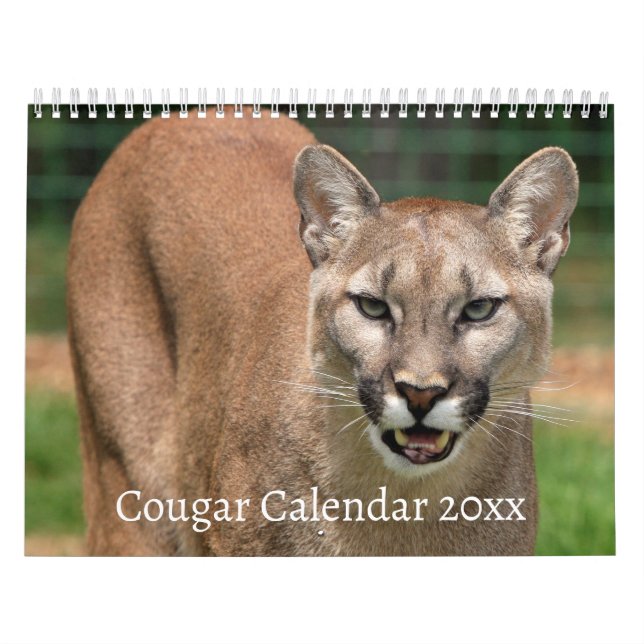 Cougar Wild Cat Kalender (Titelbild)