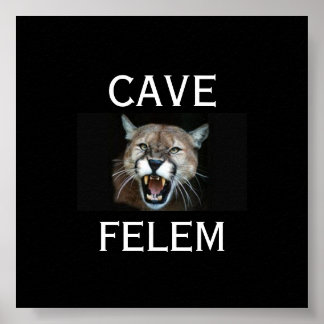 COUGARBeware der Katze - in lateinisch. -Gestalted Poster