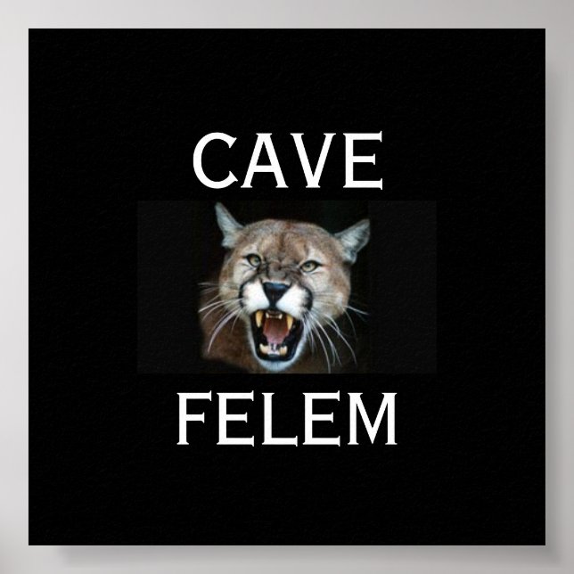 COUGARBeware der Katze - in lateinisch. -Gestalted Poster (Vorne)