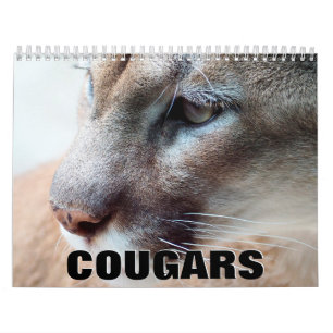 Cougars 2022 Wall Calendar Kalender