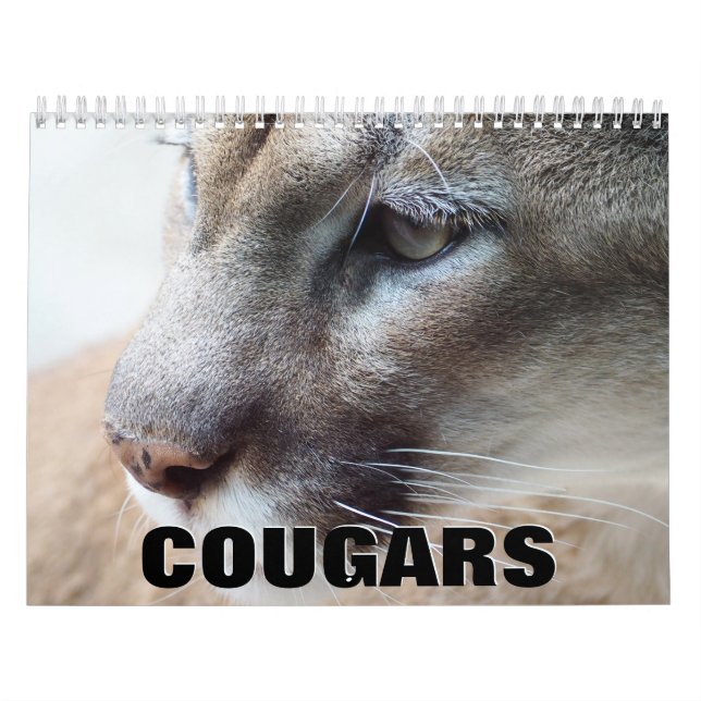 Cougars Wall Calendar Kalender (Titelbild)