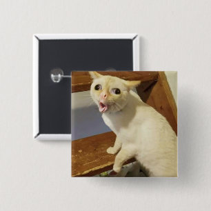 Coughing Cat Meme Button Button