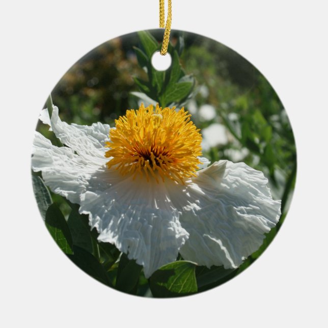 Coulter's Matilija Poppy Keramik Ornament (Vorne)