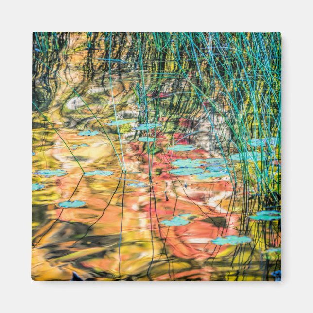 Council Lake in Hiawatha National Forest, Michigan Magnet (Vorne)