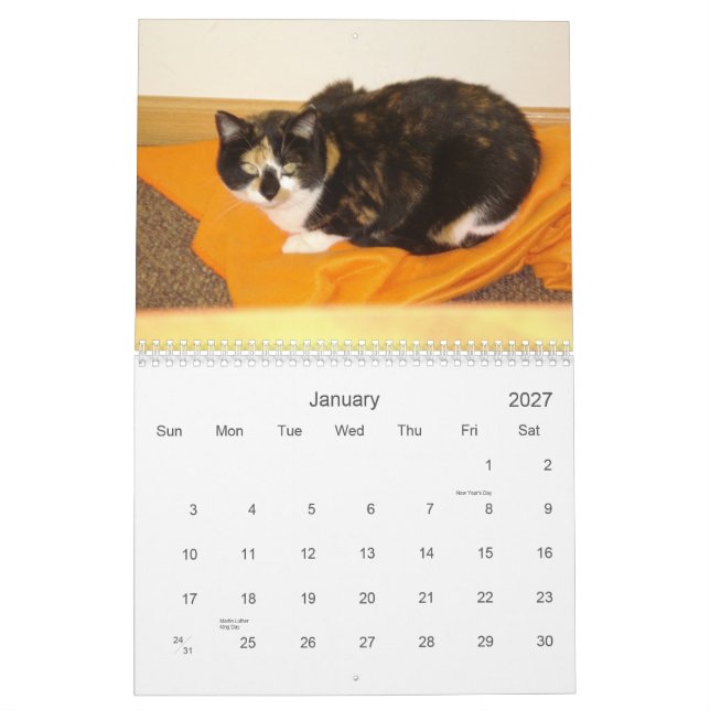 Count-down-Kalender 2013 Kalender (Jan 2027)