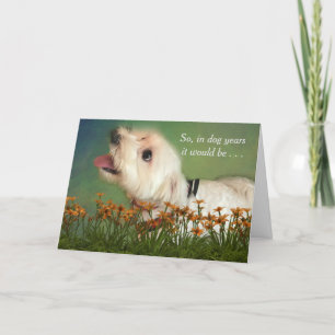 Counting in Dog Years Birthday Karte