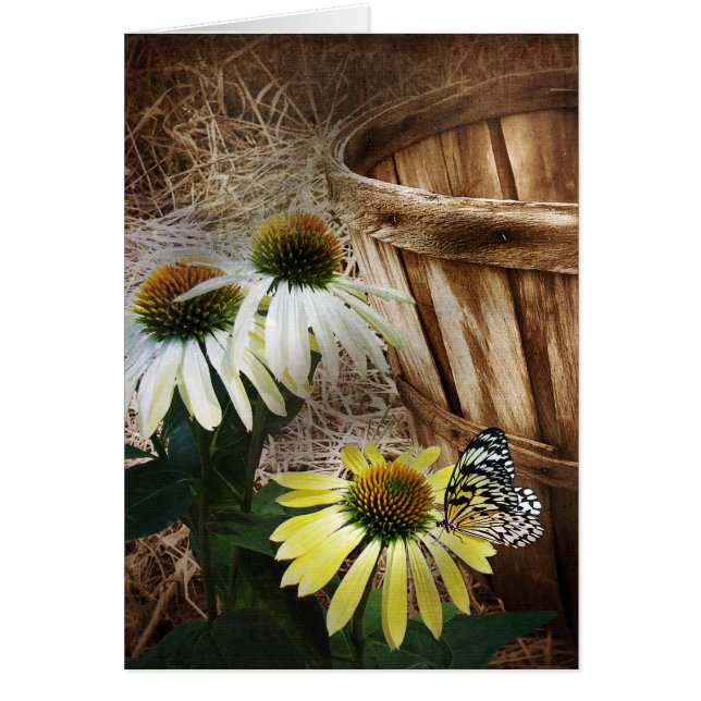 Country Butterfly (Vorne)