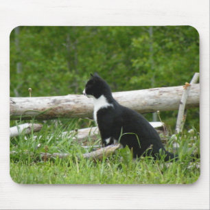 Country Cat Mouse Pad Mousepad