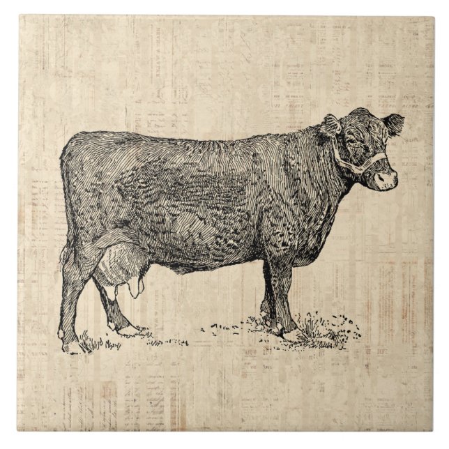 Country Cow Illustriert Art Fliese (Vorderseite)