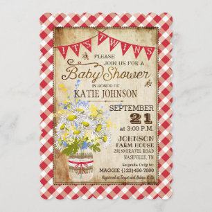 Country Daisies Gingham Karo Twins Baby Dusche Einladung