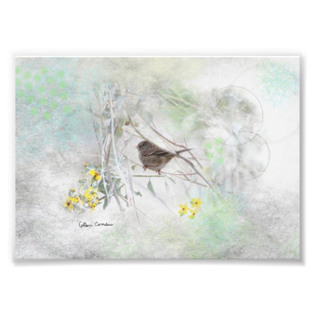 Country Dreams Fotodruck (Vorne)
