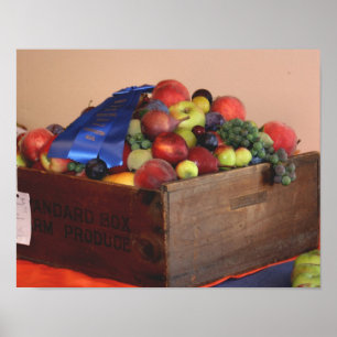 Country Fair Frucht Erster Preis Blue Ribbon Poster