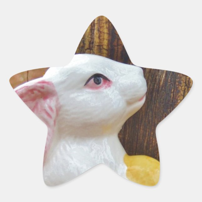 Country Ostersonne Stern-Aufkleber (Vorderseite)