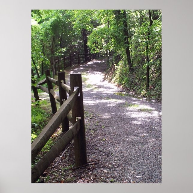 Country Path Print Poster Artwork Wall Mural (Vorne)