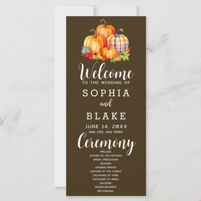 Country Pumpkins Kariert Fall Brown Wedding Progra (Vorderseite)