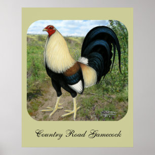 Country Road Gamecock Poster