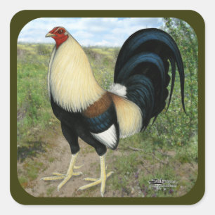 Country Road Gamecock Quadratischer Aufkleber