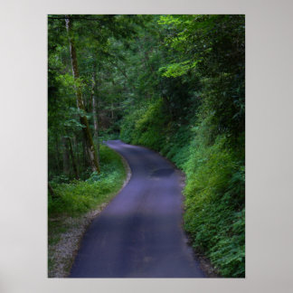 Country Road Poster