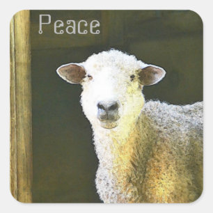Country Sheep Peace Quadratischer Aufkleber