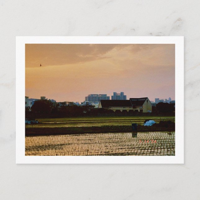 Country-Vibe-Sonnenuntergang Frühjahr Postkarte (Vorderseite)