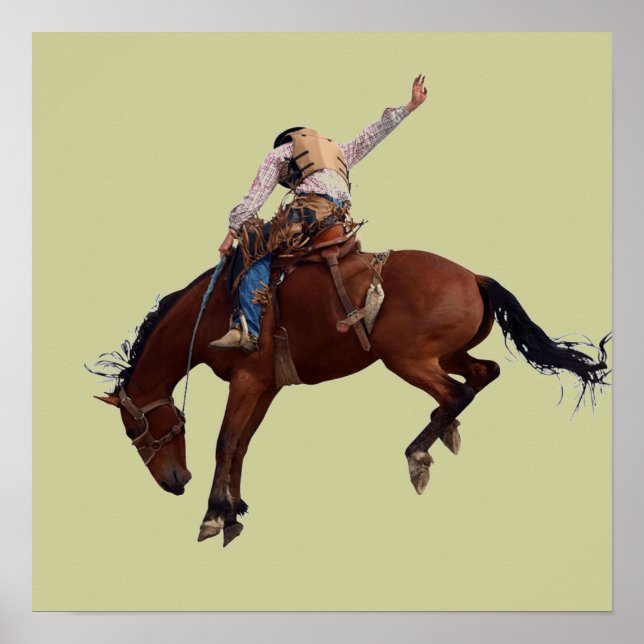 Country Western Reiten Rodeo Cowboy Poster (Vorne)