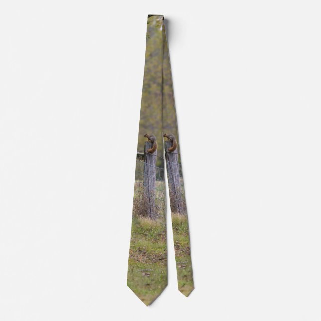 Country-Zaun und ein Eichhörnchen Neck Tie Krawatte (Vorderseite)